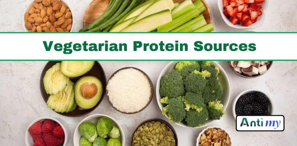 wellhealthorganic.com : vegetarian protein source